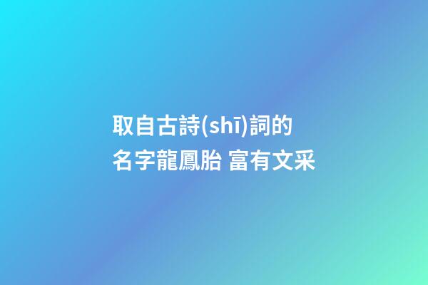 取自古詩(shī)詞的名字龍鳳胎 富有文采